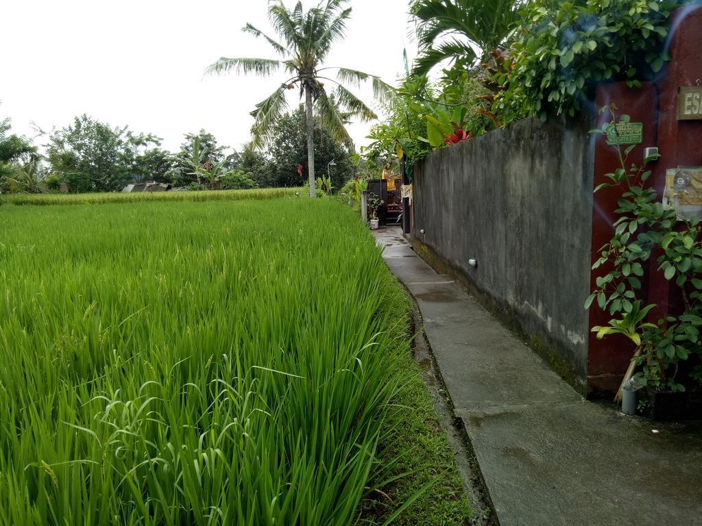 Villa Esa Ubud Exterior foto